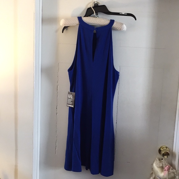 Express cotton knit royal blue dress - Picture 6 of 7
